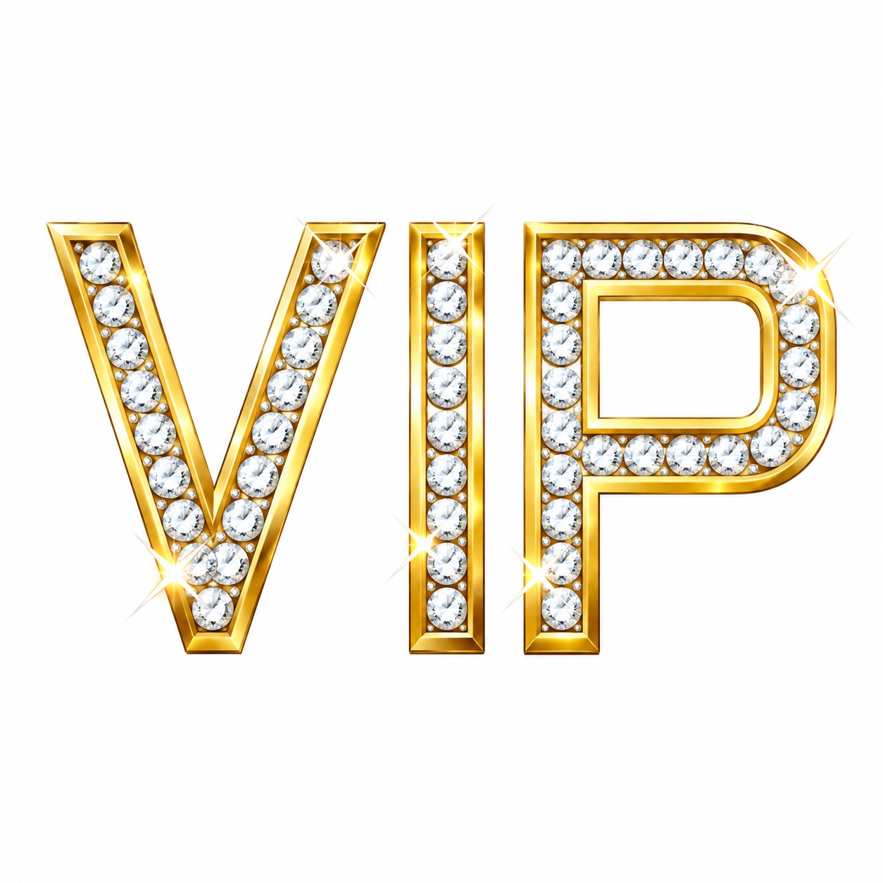 Premium VIP member portal dashboard mockup