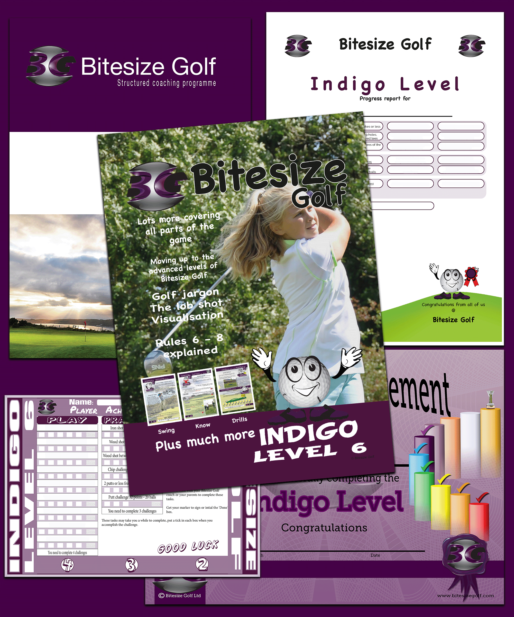 Bitesize Golf Indigo Level