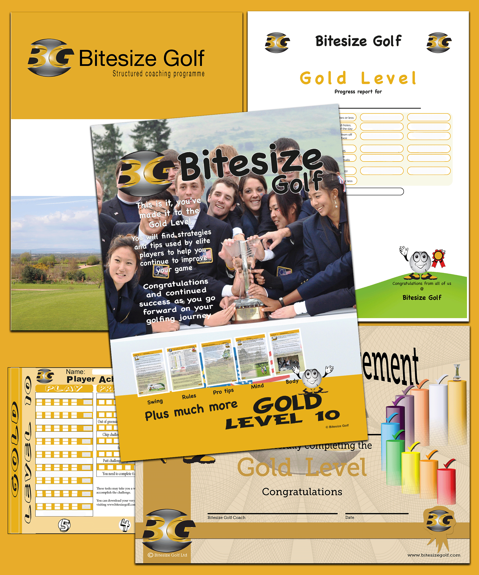 the gold level pack, book, certificate, challenge sheet, lesson plan