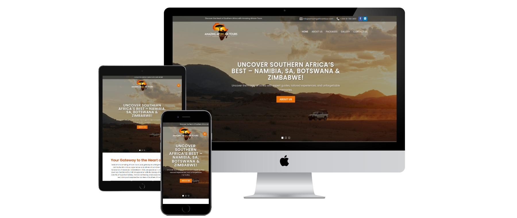Amazing African Tours website preview