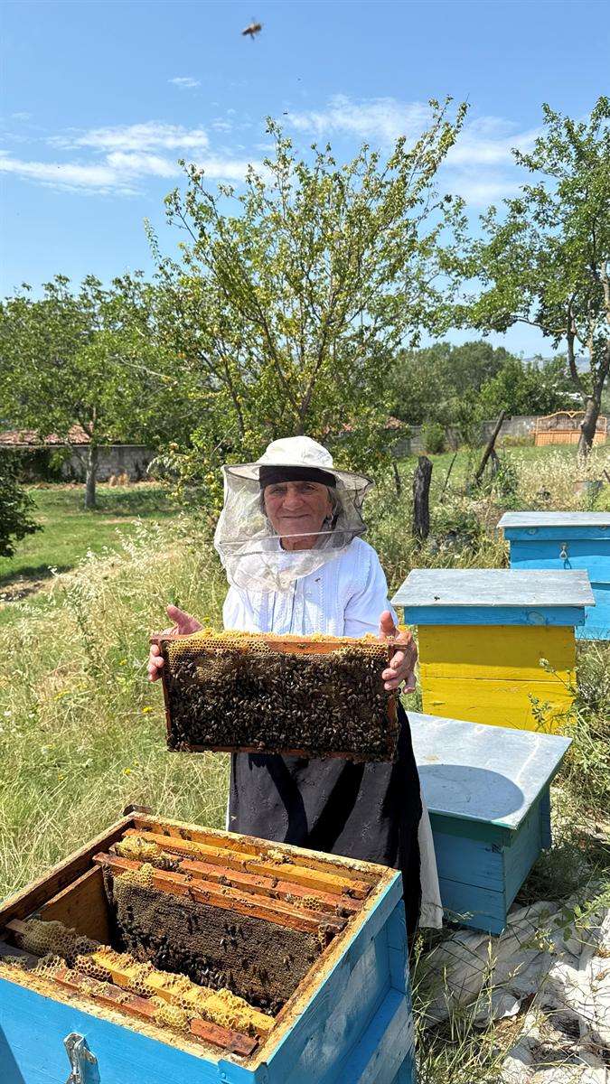 Beekeeping and Organic Honey Tradition