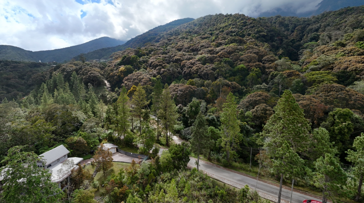 Roadside view panorama preview