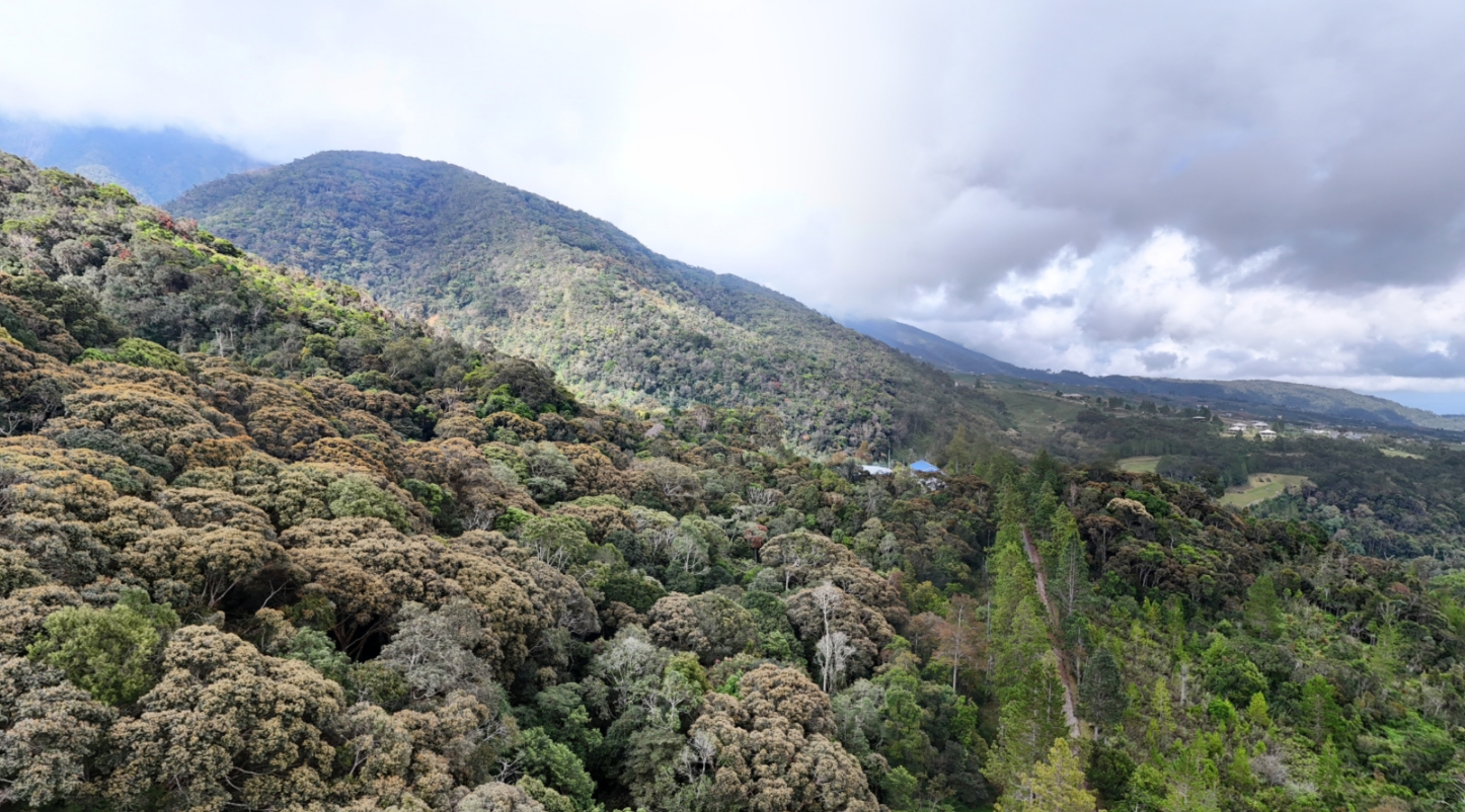 Valley view panorama preview
