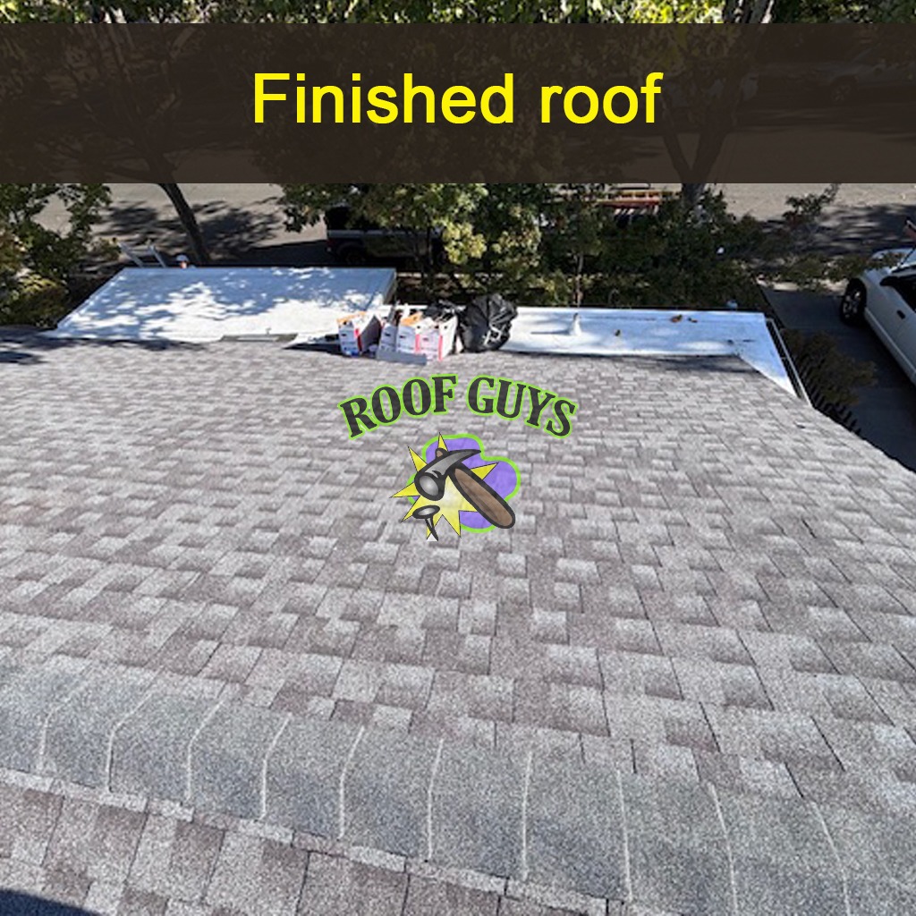 A professional image depicting a Roof Guys worker presenting a license and insurance certificate to a homeowner. The scene is set in a welcoming home environment, with the homeowner looking relieved and pleased. Soft lighting creates a calm atmosphere, focusing on the importance of safety and professionalism. The quality of this image is rendered in stunning 4K resolution, highlighting the peace of mind we offer.