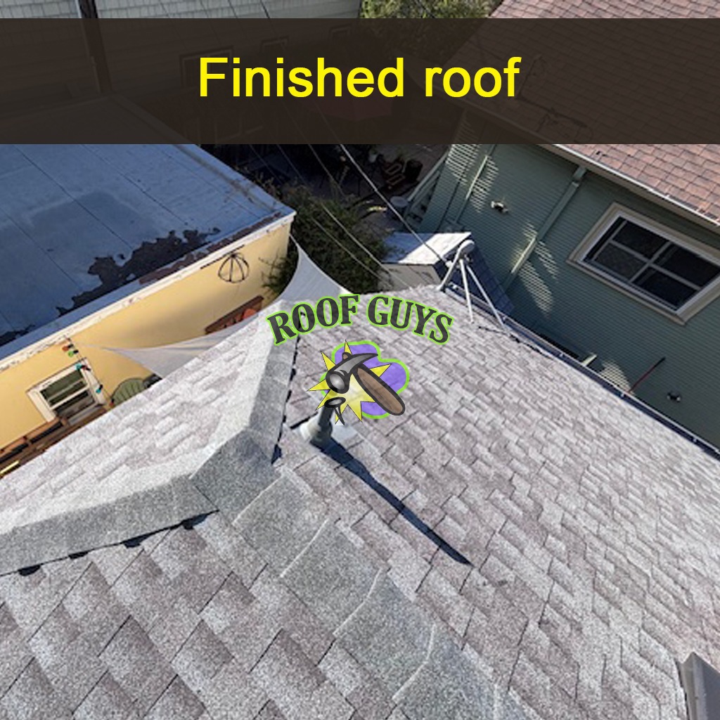 An engaging image showing the before-and-after transformation of a historic home's roof. The left side portrays worn-out materials, while the right shows a fresh, restored roof sparkling in the sunlight. Surrounding landscaping further highlights the home's beauty post-restoration. This powerful visual captures the skill involved in our services, making an impact in high-quality resolution.