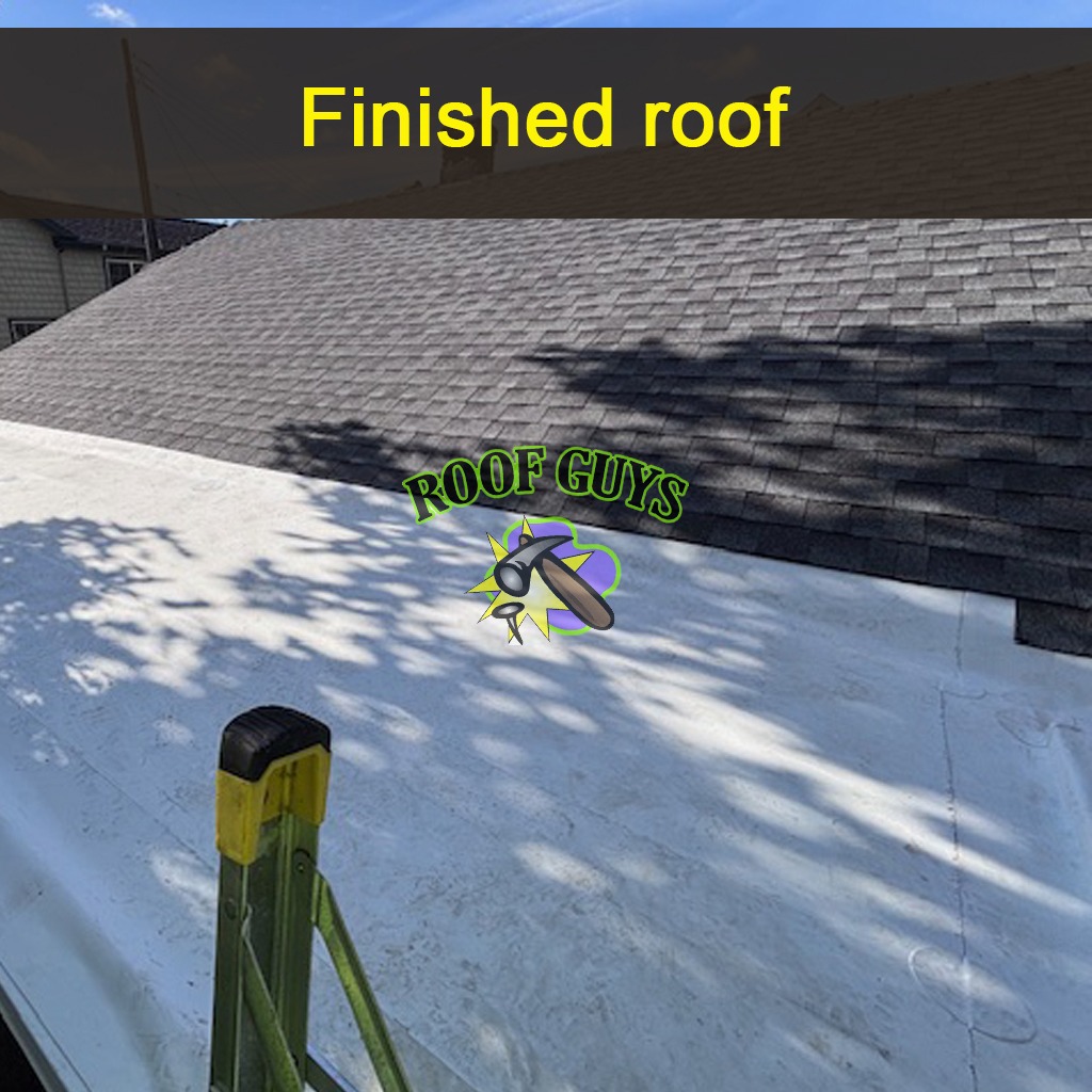 An illustration depicting a roofing expert in the process of applying a protective sealant to a roof. The scene is adorned with clear skies and beautiful trees, creating a friendly atmosphere. Close-up details show the sealant application method, focusing on the careful technique used. This image emphasizes the importance of our leak prevention services in high-quality visuals, enriching the overall narrative.