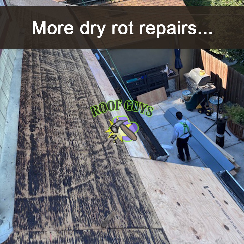 An illustration depicting a roofing expert in the process of applying a protective sealant to a roof. The scene is adorned with clear skies and beautiful trees, creating a friendly atmosphere. Close-up details show the sealant application method, focusing on the careful technique used. This image emphasizes the importance of our leak prevention services in high-quality visuals, enriching the overall narrative.