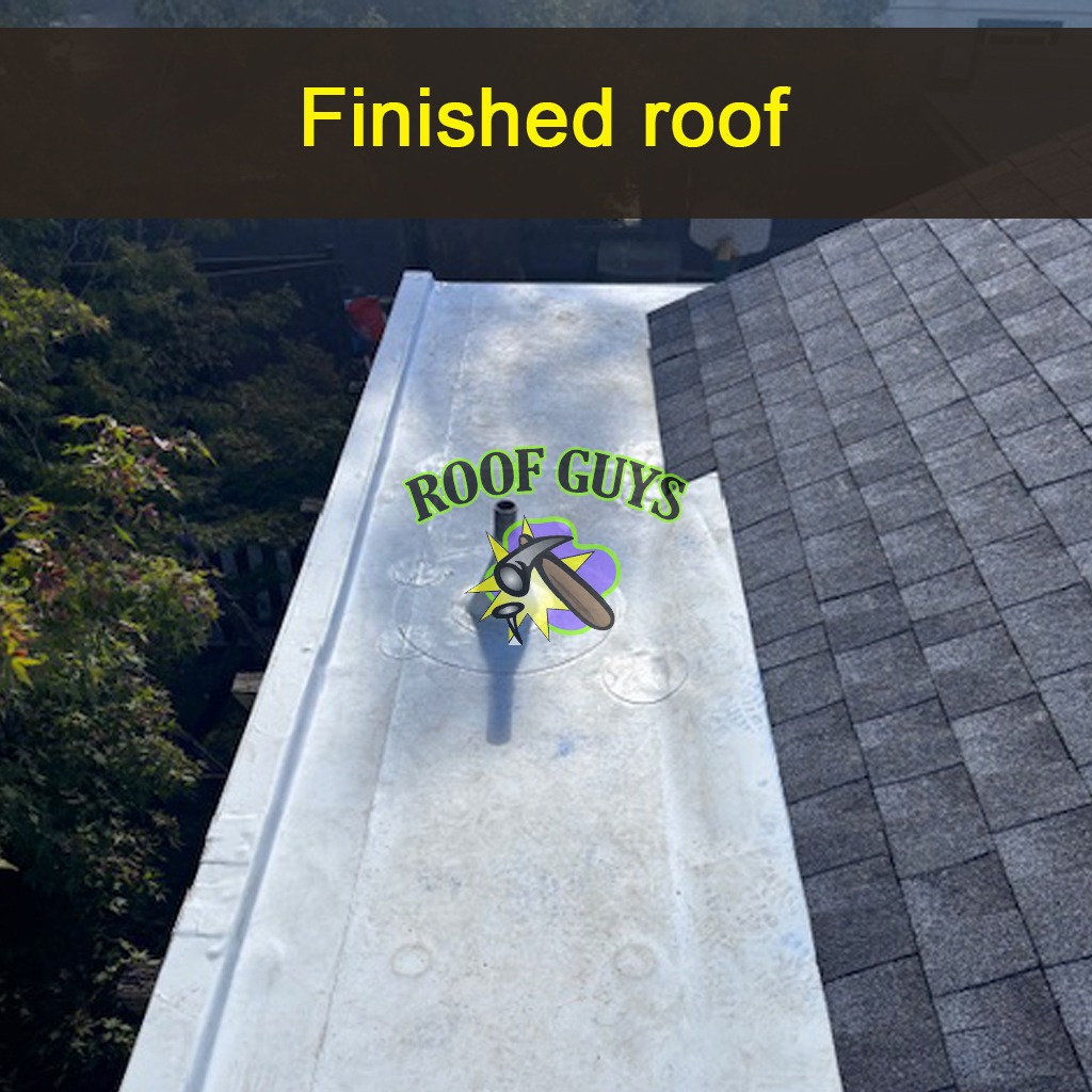 An illustration depicting a roofing expert in the process of applying a protective sealant to a roof. The scene is adorned with clear skies and beautiful trees, creating a friendly atmosphere. Close-up details show the sealant application method, focusing on the careful technique used. This image emphasizes the importance of our leak prevention services in high-quality visuals, enriching the overall narrative.