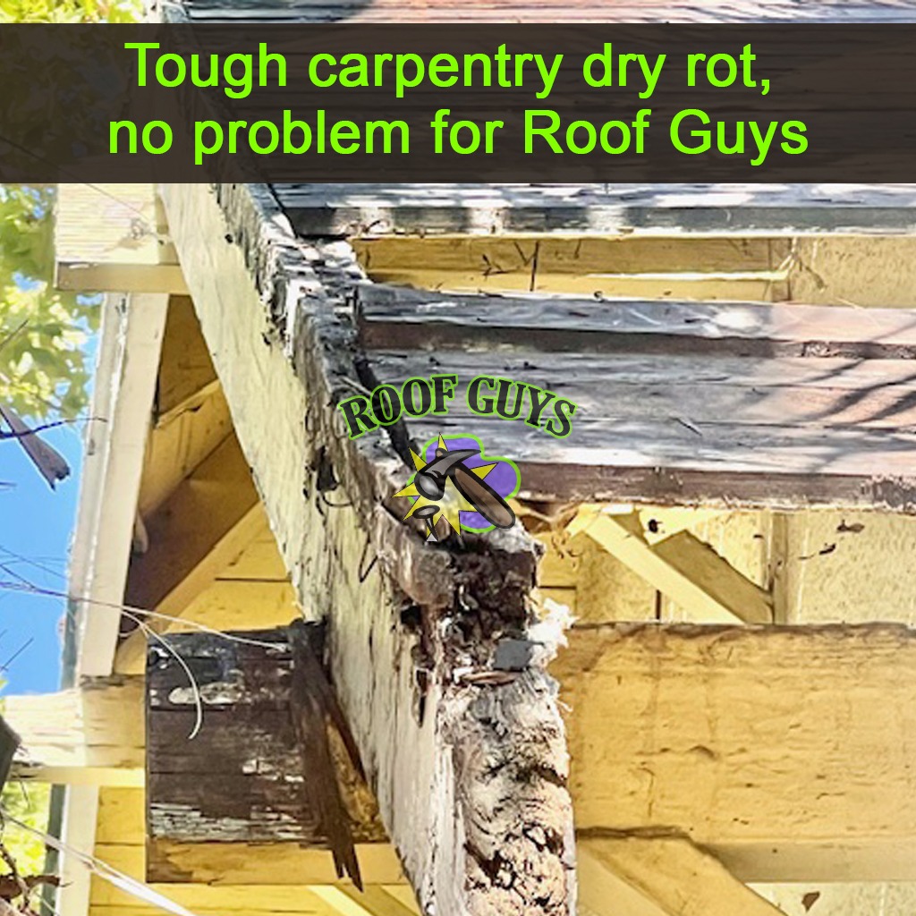 An engaging image showing the before-and-after transformation of a historic home's roof. The left side portrays worn-out materials, while the right shows a fresh, restored roof sparkling in the sunlight. Surrounding landscaping further highlights the home's beauty post-restoration. This powerful visual captures the skill involved in our services, making an impact in high-quality resolution.