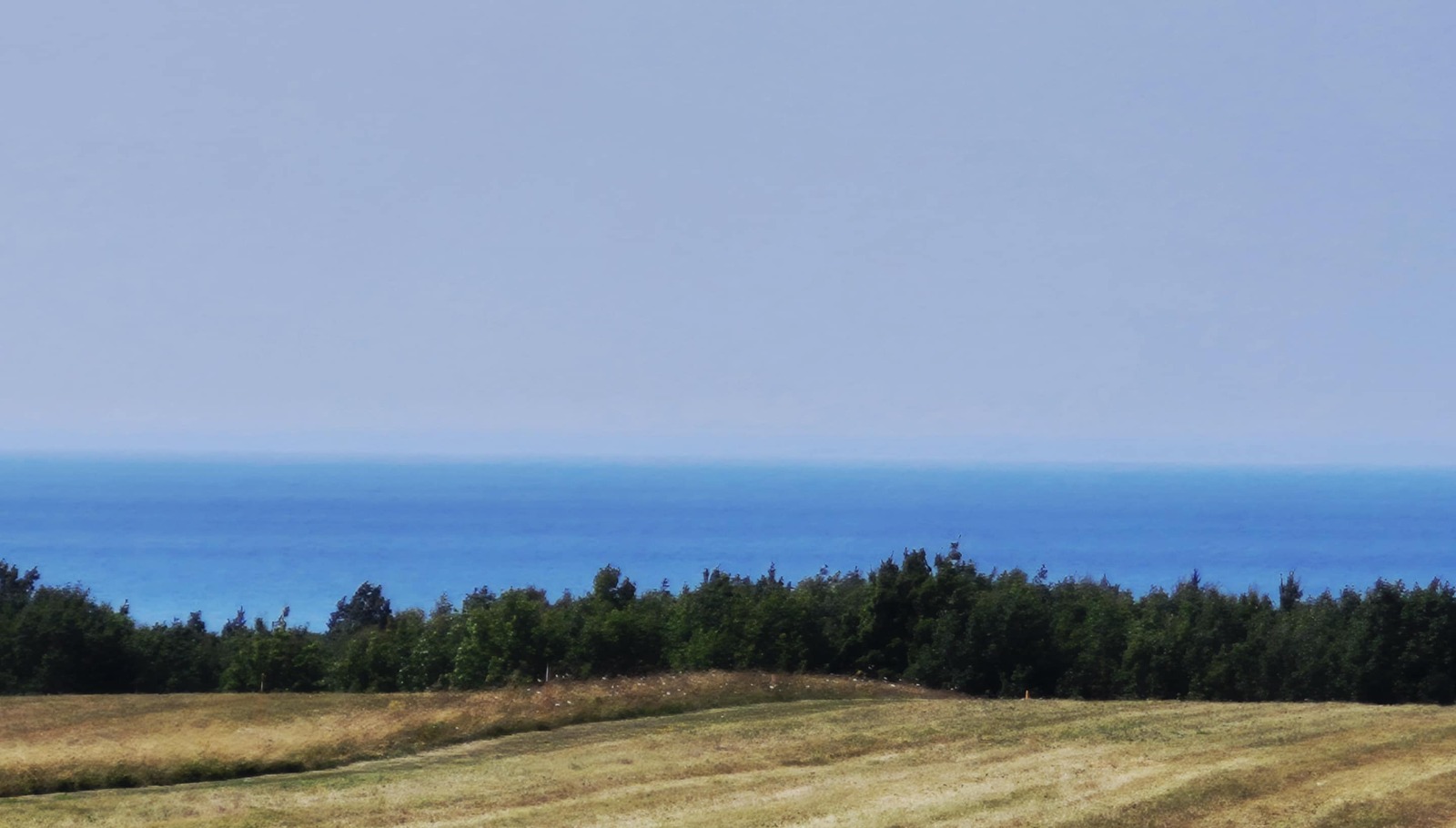 A photorealistic image showcasing the panoramic view of the Bay of Fundy from an RV campsite. The image should focus on the dramatic tides and the vastness of the bay. The sky should be clear and bright, emphasizing the beauty of the natural landscape. The lighting should be natural and vibrant. Include details of the rocky coastline and the rolling tides. The image should convey the scale and majesty of the Bay of Fundy.