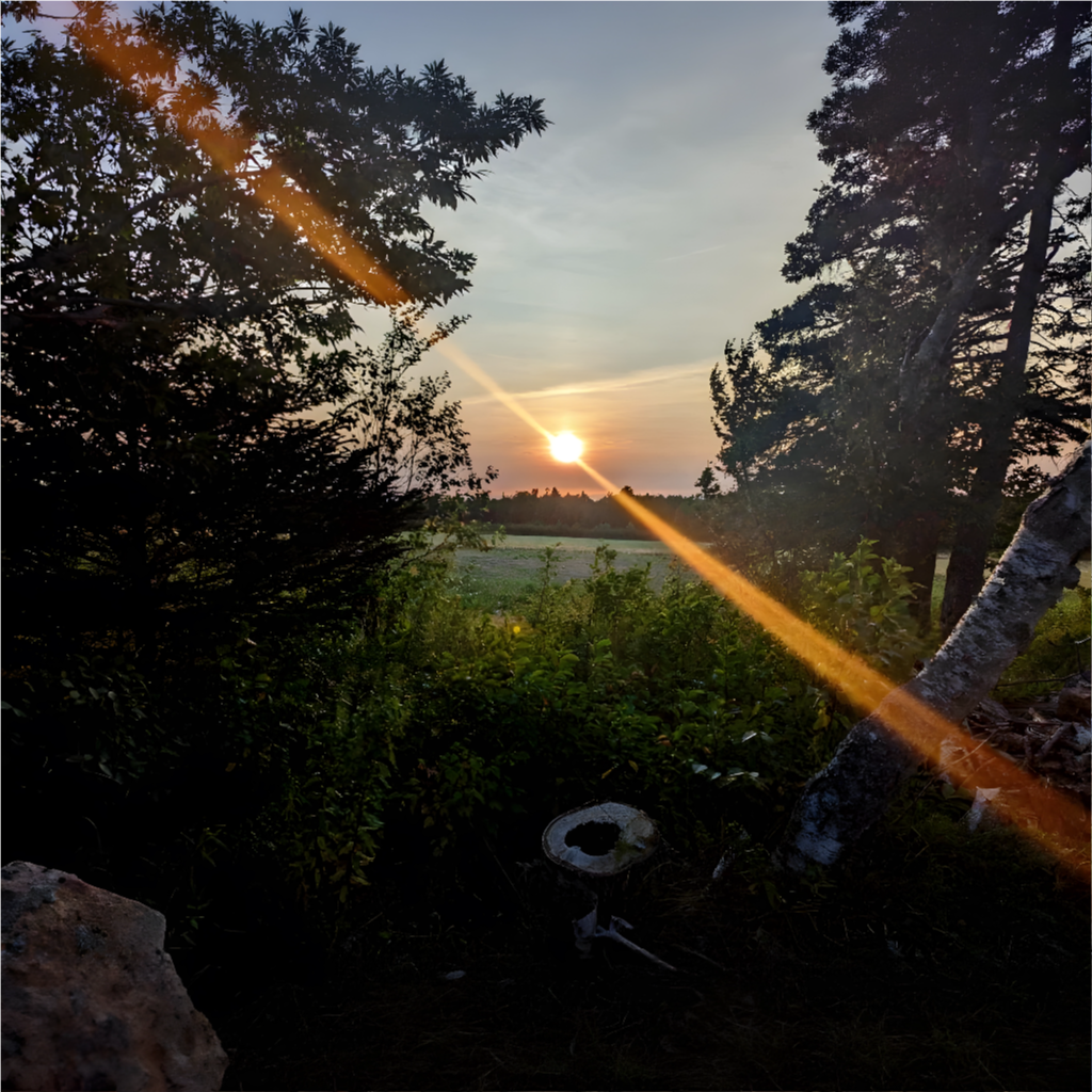 A stylized image emphasizing the adventurous activities available around Port George. The image could include elements like hiking trails, kayaking, wildlife, and local attractions. The style should be bright and inviting. The lighting should be natural and dynamic, highlighting the adventure and excitement. The colors should be vibrant and represent the diversity of the region.
