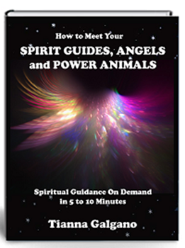 Meet your Spirit Guides book