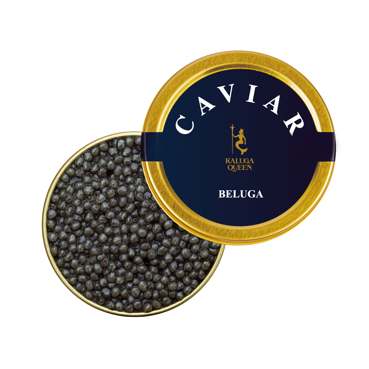 Capture the dark, intense color of Sevruga caviar in a stylized photograph. The caviar is displayed on a black slate plate, with a minimalist composition. The lighting is dramatic, creating a sense of mystery and sophistication. Consider adding subtle textures to the plate to enhance the visual appeal.