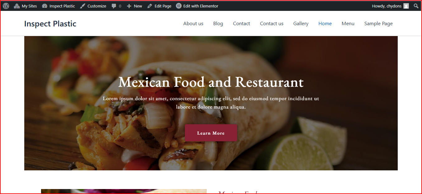 Mexican Food Template