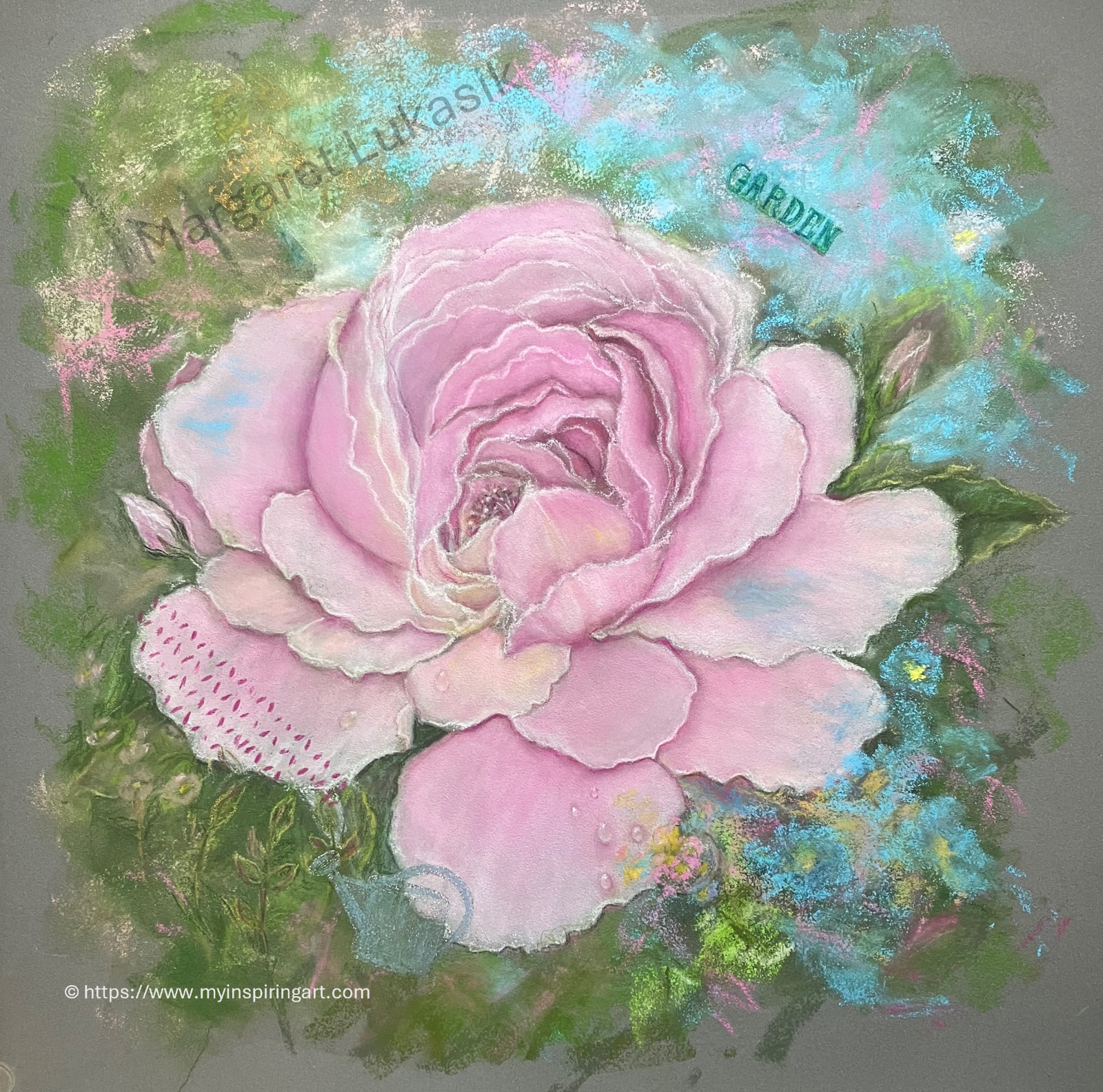 Garden Rose