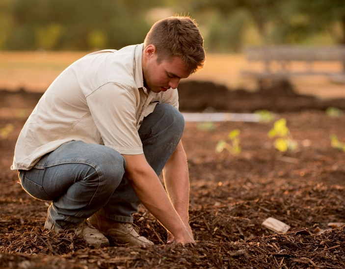 The 4 Types of Christians