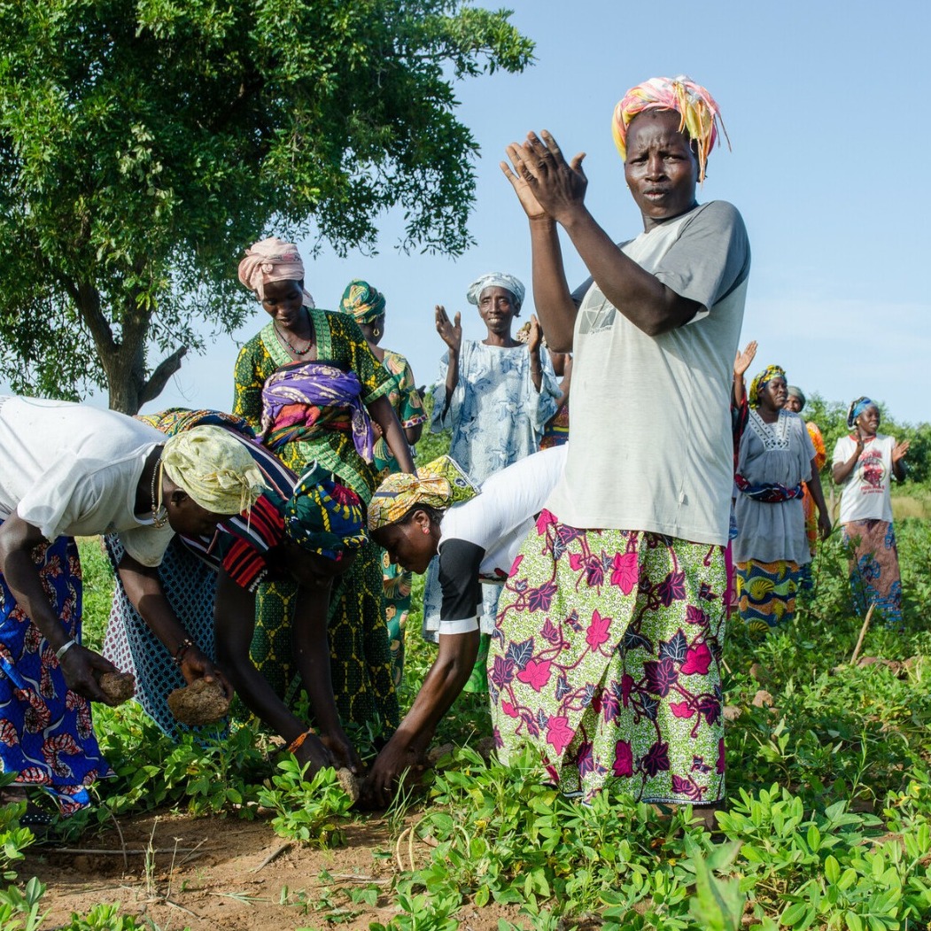 A photorealistic image of a healthcare professional educating a patient about healthy eating habits. The composition should emphasize the empathy and support provided. The lighting should be warm and inviting, with a color palette dominated by earth tones. The camera angle should be close-up, capturing the interaction between the healthcare professional and the patient. Style reference: healthcare photography. Technical specs: 4K, high quality.