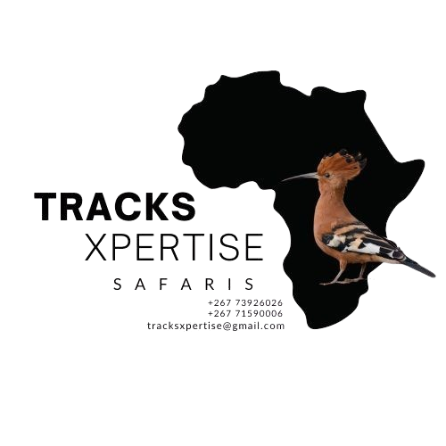 Tracks Xpertise Safaris Logo