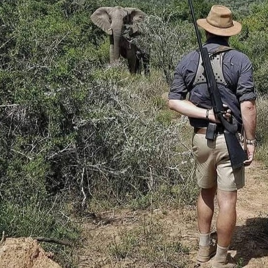 A photorealistic image of a hunter proudly posing with a trophy animal in the African bush. Focus on the sense of accomplishment and the respect for the animal. Golden hour lighting and a wide-angle lens. 4K resolution, high detail.