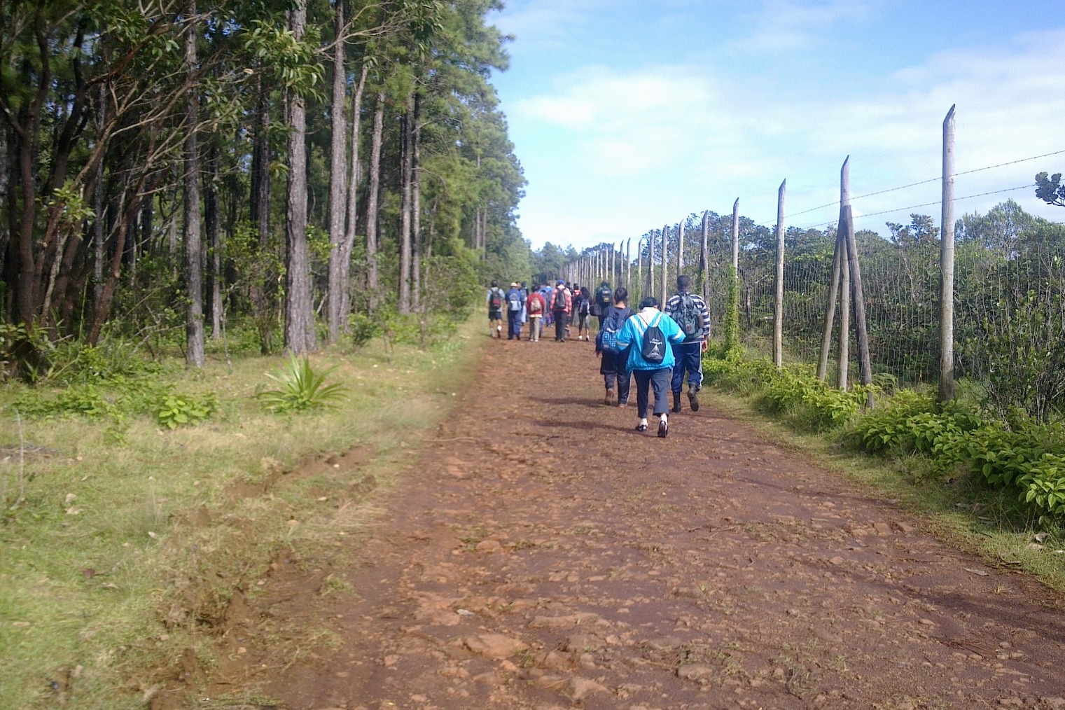 Wide, photorealistic shot of a cascading waterfall in Mauritius, surrounded by lush vegetation. Crystal-clear water, vibrant colors. Focus on the beauty and tranquility of nature. 4k resolution.