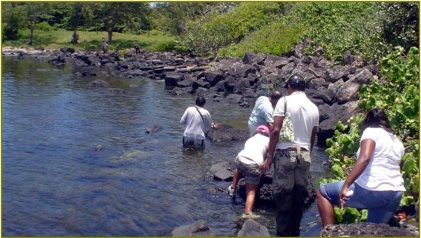 A serene scene of a lone hiker sitting on a mountaintop, overlooking a vast Mauritian landscape. Focus on the peaceful expression on their face and the breathtaking view. Soft, natural lighting. 4k resolution.