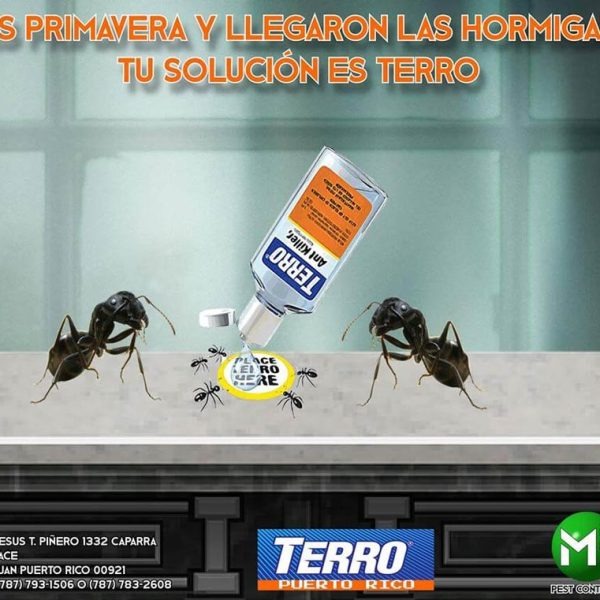 A close-up shot of a product label highlighting safety certifications and eco-friendly ingredients. The label includes symbols representing safety for children and pets. The background is blurred to emphasize the label. The lighting is bright and focused. The color palette is green and blue, representing safety and environmental consciousness. Style reference: product safety photography. The image should convey confidence in the safety and quality of the products.