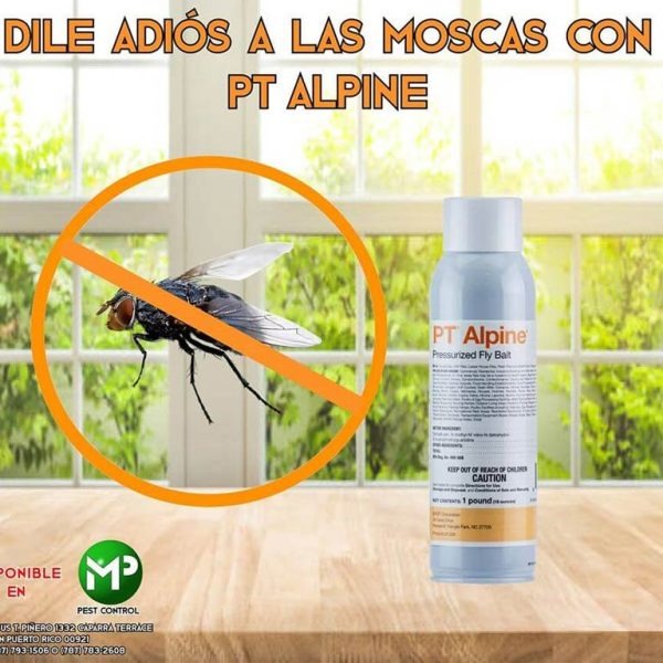 A bright and airy photograph showcasing a clean and well-maintained home interior. Emphasis on preventative measures like sealing cracks, storing food properly in airtight containers, and maintaining a tidy kitchen. The lighting is natural and inviting. The color palette is clean and fresh, using whites, light blues, and greens. The camera angle is slightly low, emphasizing the feeling of spaciousness and cleanliness. Style reference: Scandinavian interior design. Props include sealed containers, caulking tools, and cleaning supplies. The overall image should convey a sense of peace and security.