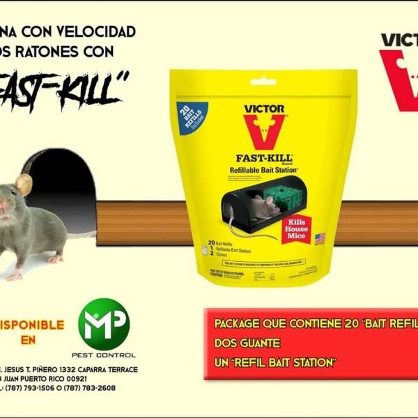 A detailed, photorealistic close-up shot of various common pests found in Puerto Rico (e.g., cockroaches, mosquitoes, termites) shown in separate, clearly labeled containers. The lighting is bright and even, highlighting the distinct features of each pest. The background is clean and neutral, ensuring focus remains on the insects. Camera angle is directly above, providing a clear view. The style leans towards scientific illustration for educational purposes. Props include magnifying glasses and informational labels. The image should be informative and slightly unsettling, emphasizing the need for pest control.