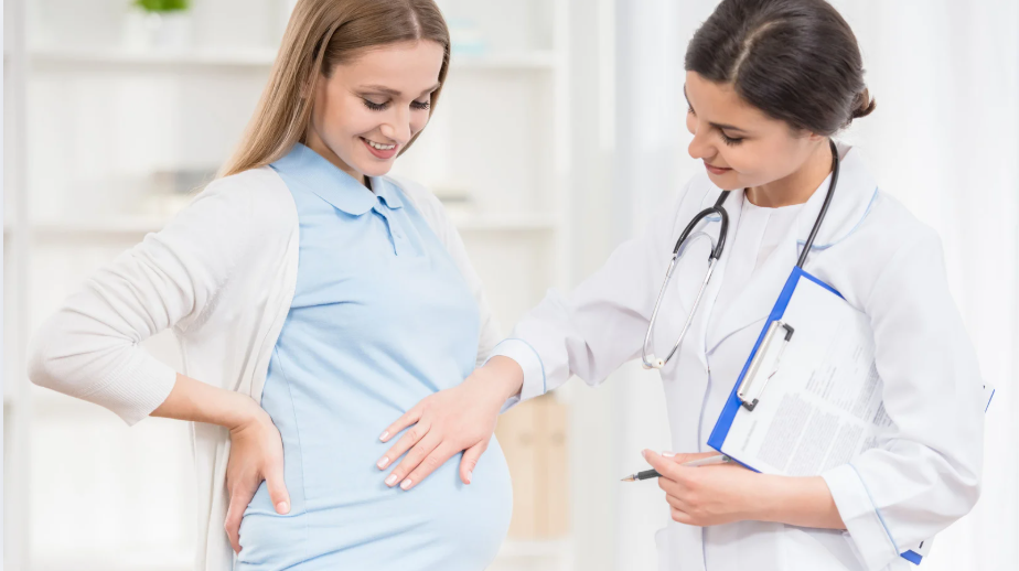 A photorealistic image representing the core values of "Phòng khám sản phụ khoa Bạc Liêu". The scene depicts a caring female doctor gently holding the hand of a pregnant woman during a consultation. The doctor has a warm and reassuring smile. The background is a softly blurred examination room with state-of-the-art ultrasound equipment. The lighting is soft and natural, creating a sense of trust and empathy. The color palette is warm and inviting, with gentle earth tones and accents of blue and green. The camera angle is close-up, focusing on the connection between the doctor and patient. Texture details include the wrinkles on the doctor's scrubs, the smoothness of the patient's skin, and the soft lighting. Style reference: photojournalistic, capturing a genuine moment of care. Technical specs: 4K resolution, high quality, focus on conveying compassion and expertise.