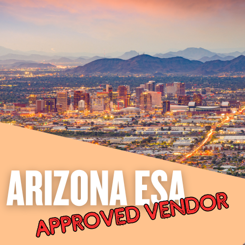 A photorealistic image showcasing an online French conversation group in action. Depict a virtual meeting space with several students from diverse backgrounds enthusiastically participating in a discussion. Focus on capturing expressions of engagement, laughter, and active listening. The lighting should be warm and inviting, creating a sense of connection and community. Backgrounds can be blurred, suggesting a focus on the conversation itself.