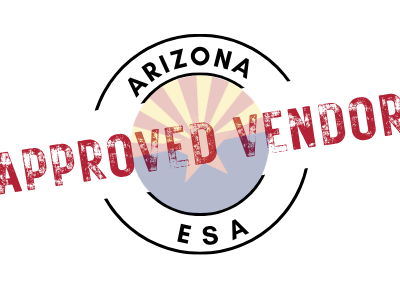 A close-up, photorealistic image of a student receiving personalized online help with their French homework. Corinne is providing feedback and guidance on a digital document. The focus should be on the one-on-one interaction and the personalized support provided.