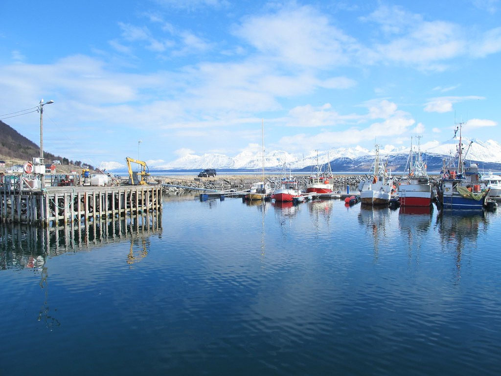 Fjord