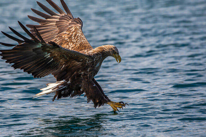 Create a stunning image of Trollfjord's dramatic cliffs, standing tall and proud amidst serene waters. Capture the deep blue hues of the fjord contrasted with the green foliage on the cliffs, with cascading waterfalls spilling into the sea. Position a small boat near the cliffs to give a sense of scale. Employ soft cloud coverage that allows sunlight to cascade down, illuminating the water's surface. This high-definition image should evoke a sense of wonder and admiration for Norway's natural beauty.