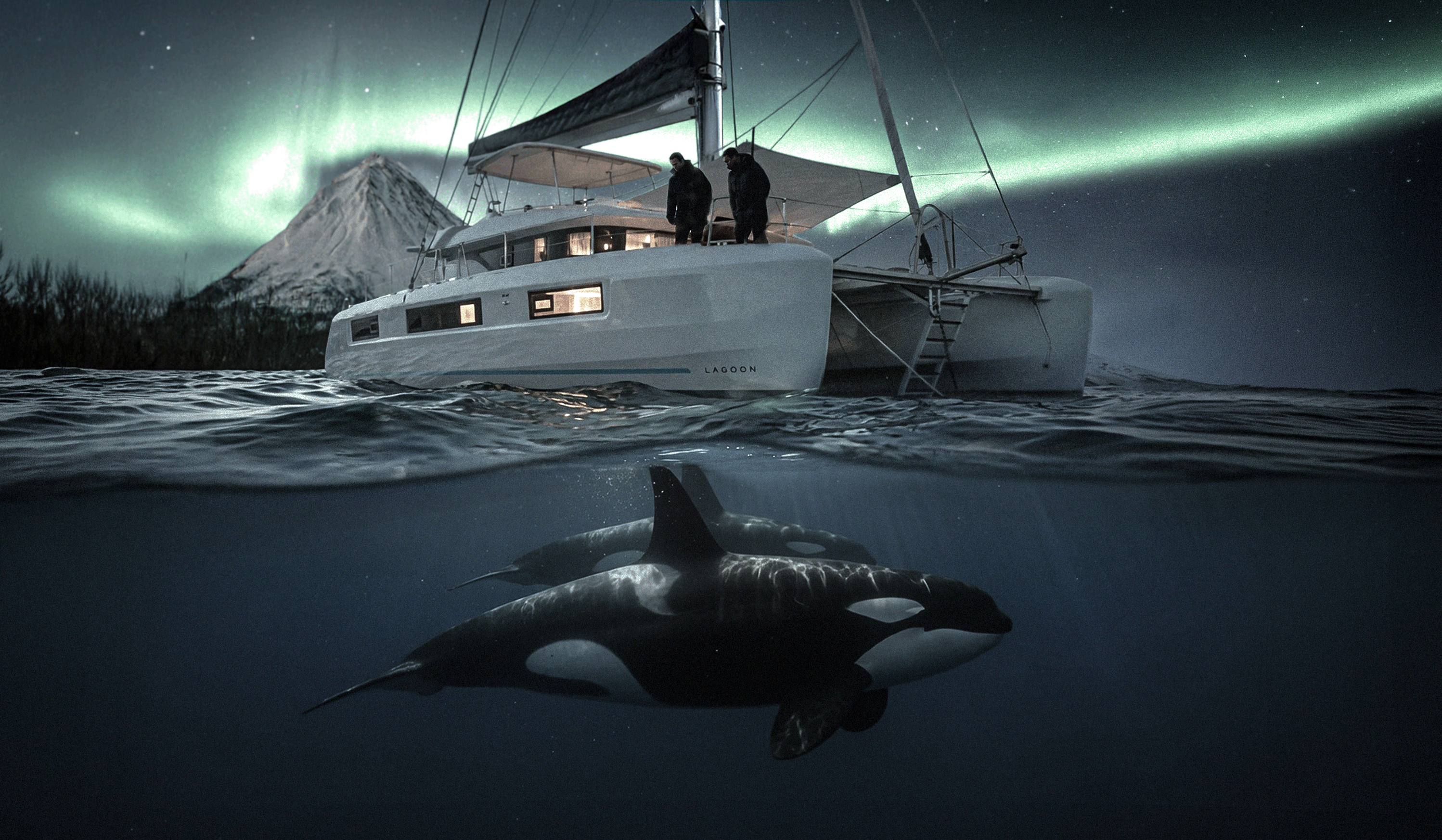 LIVE A LITTLE Arctic orca expedition in Northern Norway