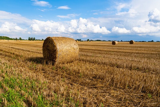 A photorealistic image depicting an African farm worker using a tablet to monitor crop health at FAZENDA NAYANAF. The image conveys a sense of innovation and progress. The worker is surrounded by healthy crops. 4k resolution.