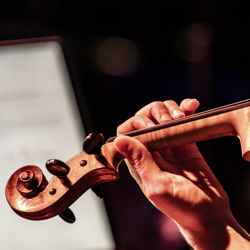 A viola in a player's hands