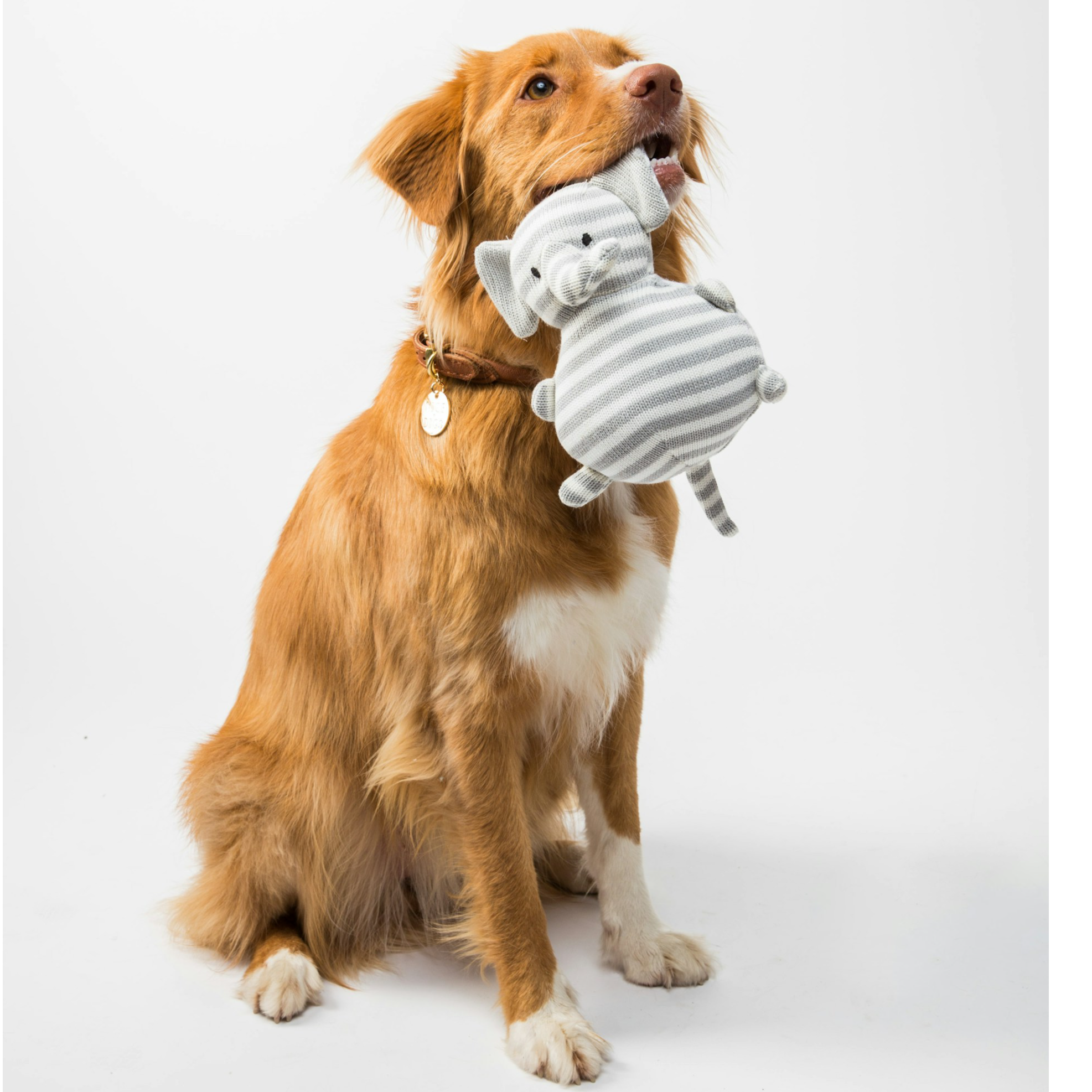 A friendly pet shop employee welcoming a customer and their dog into the store. The employee is smiling and has a warm, welcoming expression. The dog is wagging its tail and appears happy. The background is a clean and well-organized pet shop. The lighting is warm and inviting. The camera angle is slightly low, emphasizing the connection between the employee and the customer. The overall style should be friendly and inviting. Photorealistic, 4k resolution.