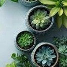 A person walking towards a bright, open door representing the beginning of their wellness journey. Create a sense of hope and possibility.