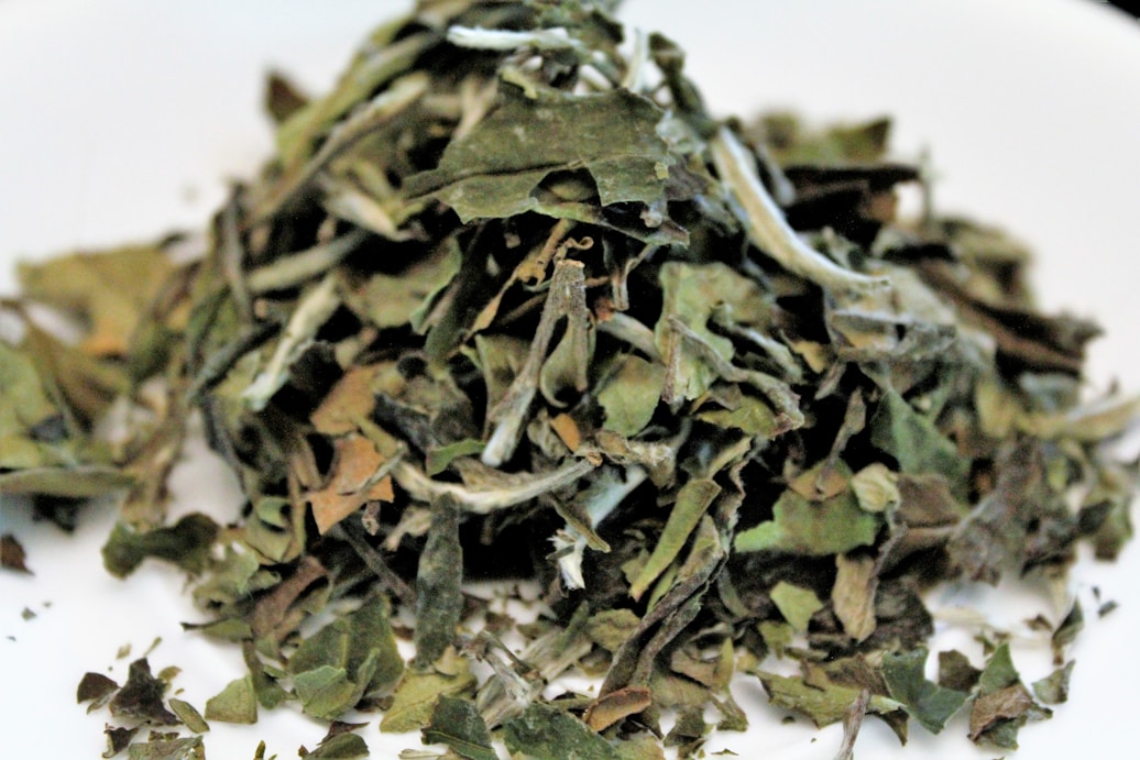 Botanical ingredient image