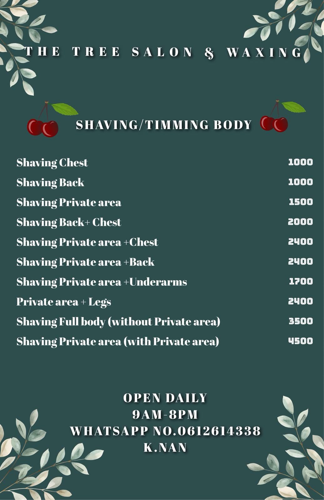 Professional Grooming Service