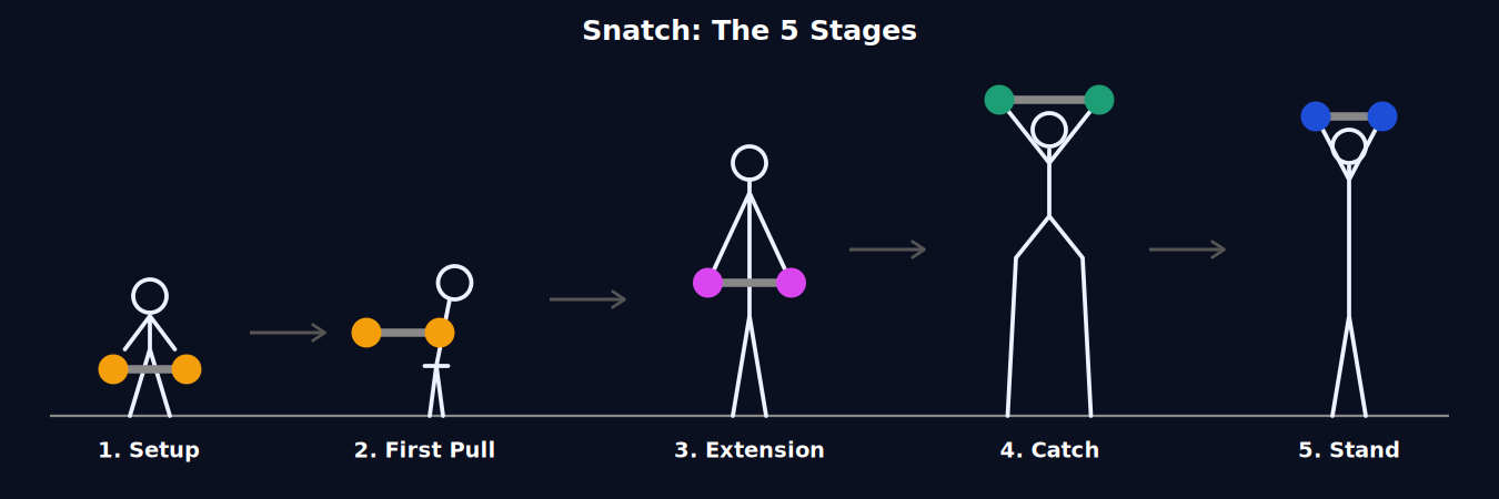 The five stages of the snatch: setup, first pull, extension, catch, stand.