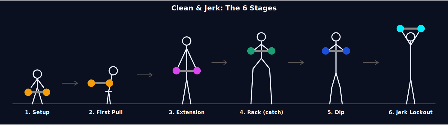 The six stages of the clean and jerk: setup, first pull, extension, rack, dip, jerk lockout.