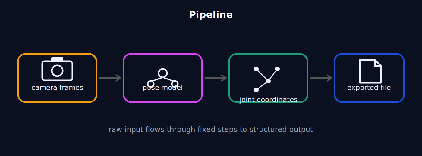 Diagram of a data pipeline: camera video frames flow into a pose-detection model, producing joint coordinates exported as a JSON file.