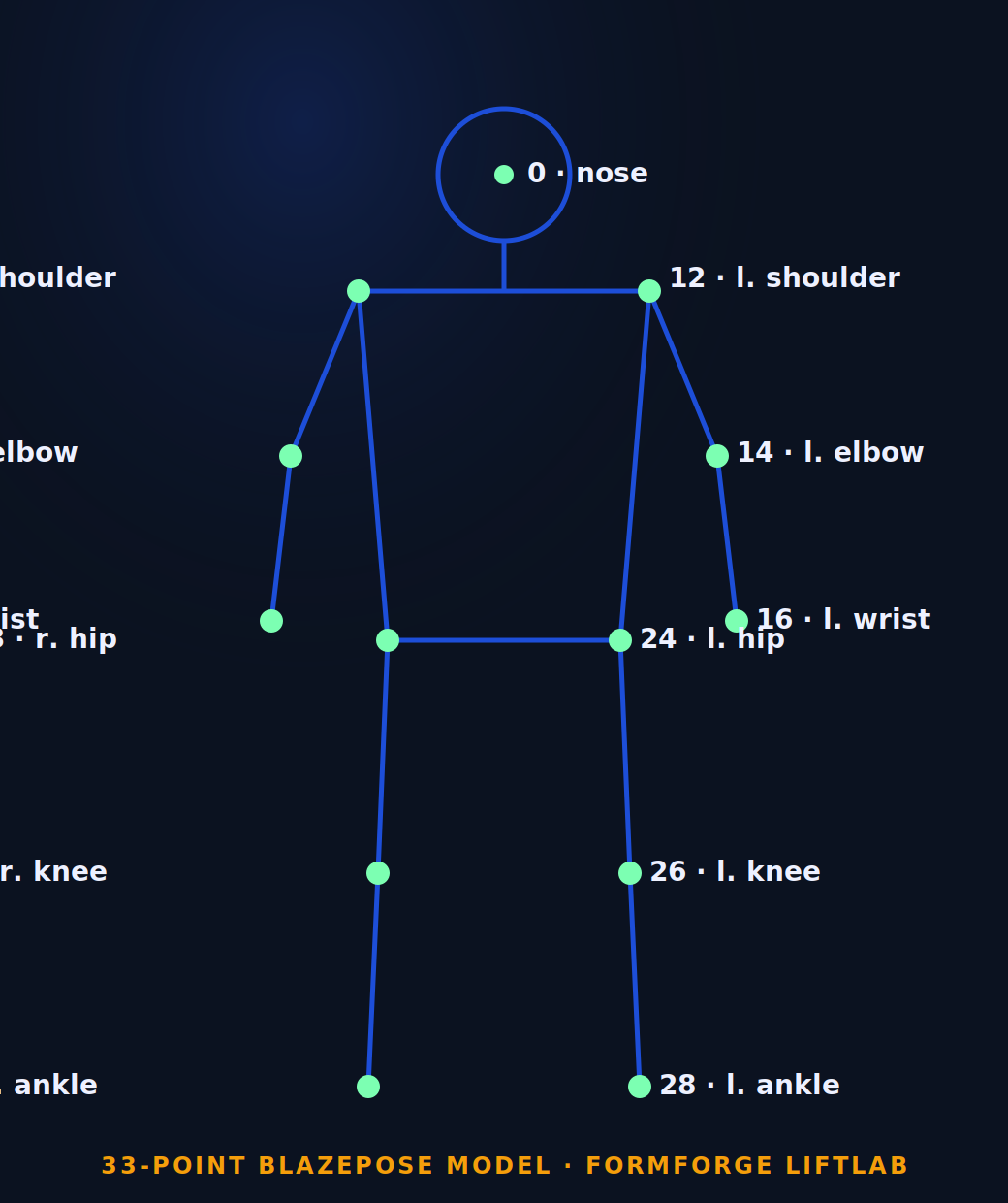Illustration of the 33-point BlazePose skeleton model, showing tracked landmarks from nose to ankles used in FormForge's motion analysis. Simplified skeleton (main body joints only)